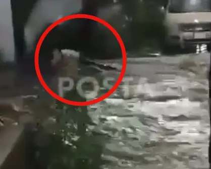 VIDEO l Momento de pánico; mujer fue arrastrada por corriente en Santa Catarina