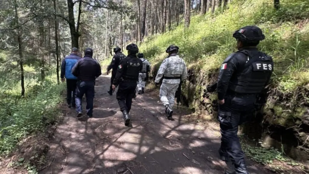 Tala ilegal de árboles en Edomex activa plan para preservar los bosques de Almoloya de Juárez