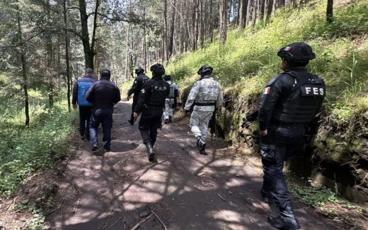 Operativo contra la tala ilegal en Almoloya de Juárez. Foto: FB/ Al Momento EdoMex (Canva)