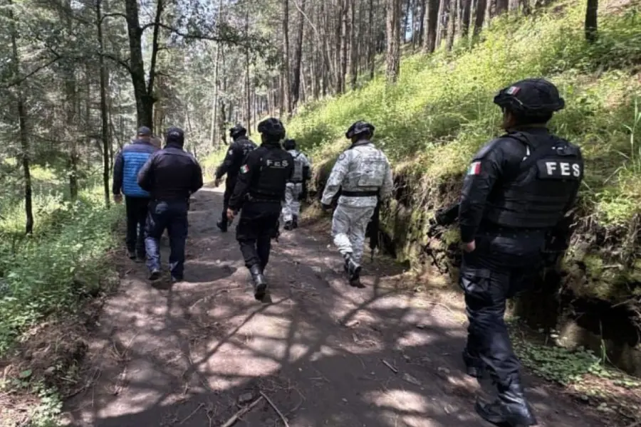 Tala ilegal de árboles en Edomex activa plan para preservar los bosques de Almoloya de Juárez