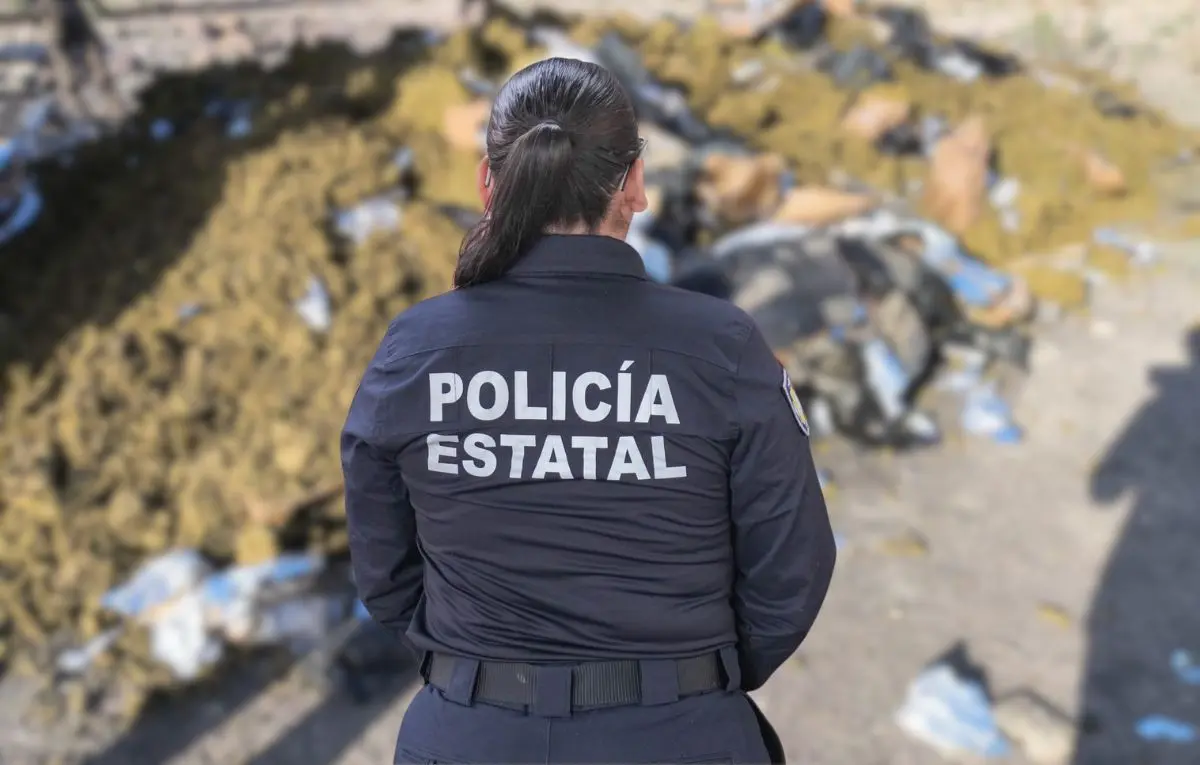 Foto: Secretaría de Seguridad Pública BCS