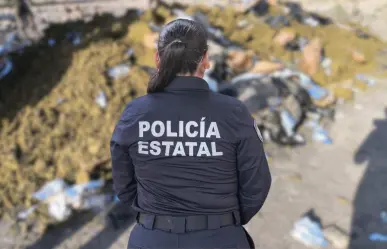 Baja California Sur cierra agosto con números rojos en decomisos, sentencias y cateos