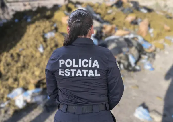 Baja California Sur cierra agosto con números rojos en decomisos, sentencias y cateos