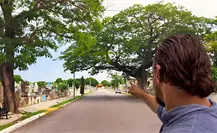 Qué ver en Mérida: la insólita calle que atraviesa el Cementerio General