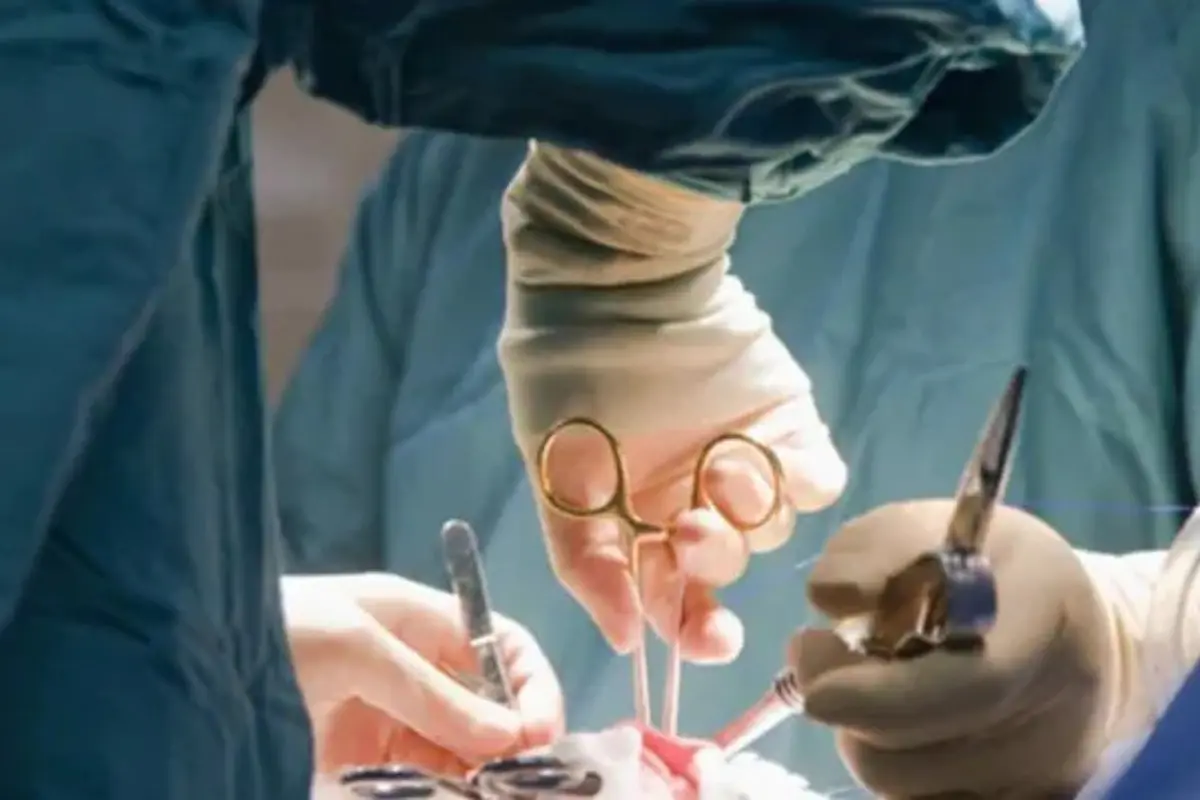 La propuesta nace como respuesta a las tragedias que se han registrado en el estado y que han dejado pacientes con secuelas graves e incluso la muerte. Foto: Freepik