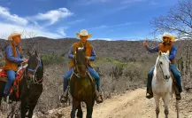 El gobierno del estado promoverá cabalgatas en Baja California Sur