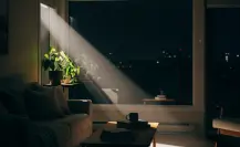 ¿Qué es la Luz Intrusa y cómo el Congreso de CDMX planea regularla?