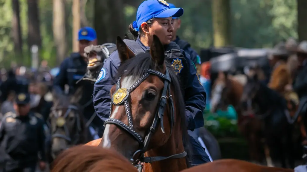 "Guardabosques" a caballo frenan tala ilegal en Cuajimalpa, ¿en qué consiste la estrategia?