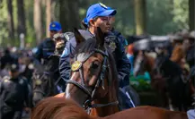 “Guardabosques” a caballo frenan tala ilegal en Cuajimalpa, ¿en qué consiste la estrategia? “Guardabosques” a caballo frenan tala ilegal en Cuajimalpa, ¿en qué consiste la estrategia?
