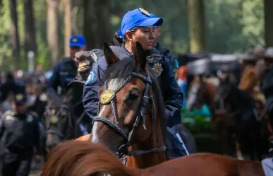 "Guardabosques" a caballo frenan tala ilegal en Cuajimalpa, ¿en qué consiste la estrategia?