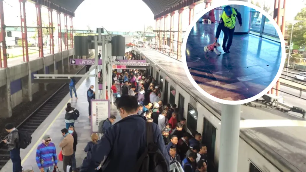 Perrito en Metro CDMX es jaloneado por policías; usuarios acusan uso de animales en marketing político