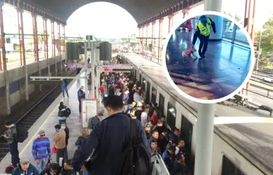 Perrito en Metro CDMX es jaloneado por policías; usuarios acusan uso de animales en marketing político