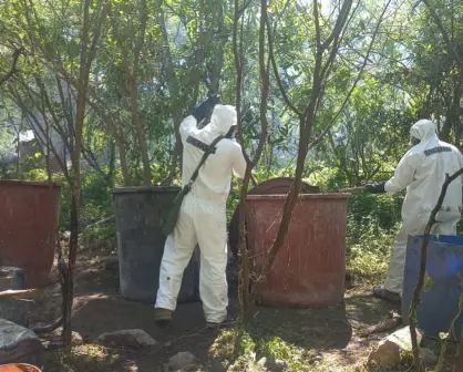 Aseguran más de 6 mil millones de pesos en droga en Durango; esto se sabe