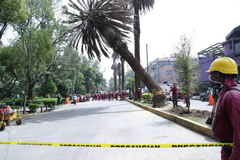Foto: Gobierno CDMX