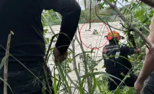 Lluvias en Nuevo León: Protección Civil rescata a menores en río de Cadereyta