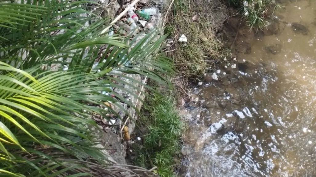Chiapas prepara plan de agua limpia para todos, ¿en qué consiste?