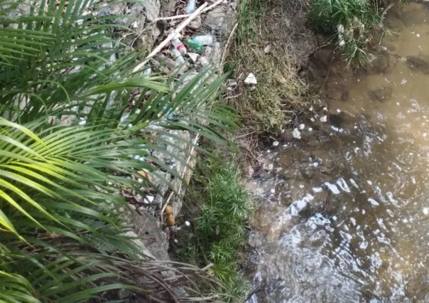 Chiapas prepara plan de agua limpia para todos, ¿en qué consiste?