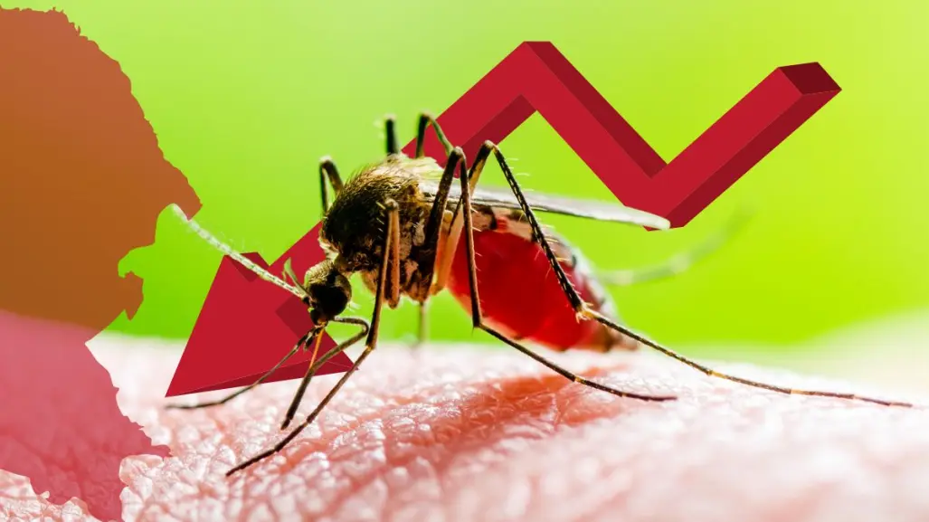 Dengue en Coahuila a la baja, se reducen casos significativamente en 2025
