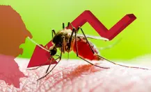 Dengue en Coahuila a la baja, se reducen casos significativamente en 2025
