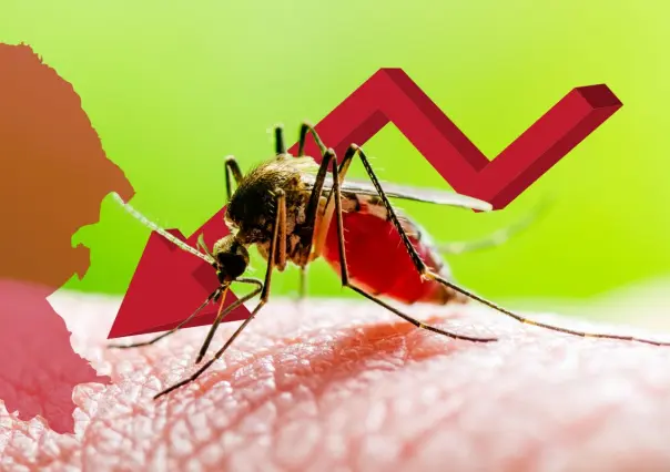 Dengue en Coahuila a la baja, se reducen casos significativamente en 2025