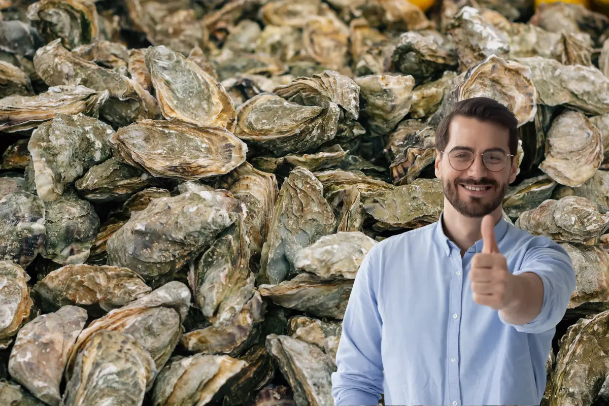 Con la entrega de un millón de semillas de ostión, la UABCS apoya a los productores locales para aumentar la cosecha de este importante producto de exportación. Fotos Ilustrativas: Canva.