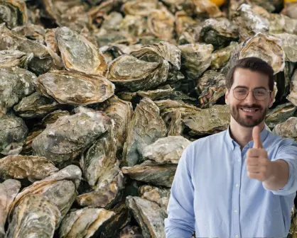 La UABCS entrega un millón de semillas de ostión a productores de Comondú
