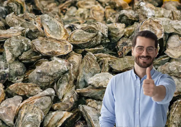 La UABCS entrega un millón de semillas de ostión a productores de Comondú