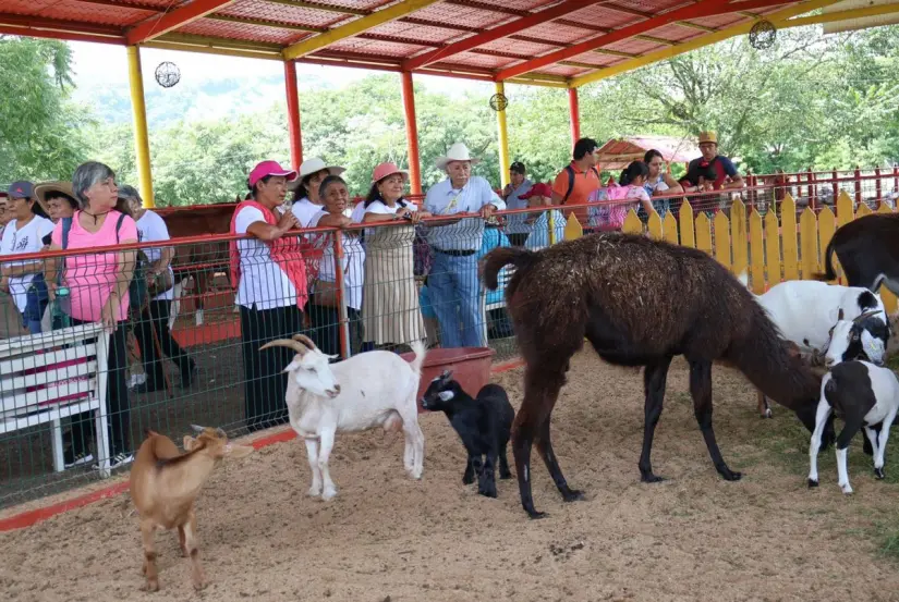 Foto: Carlos Barragan Amador