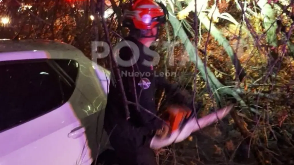 Hombre muere tras fuerte choque contra un árbol en Apodaca