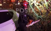 Hombre muere tras fuerte choque contra un árbol en Apodaca