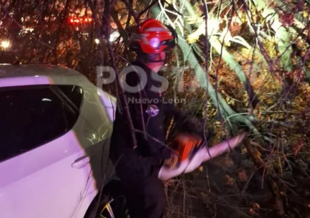 Hombre muere tras fuerte choque contra un árbol en Apodaca