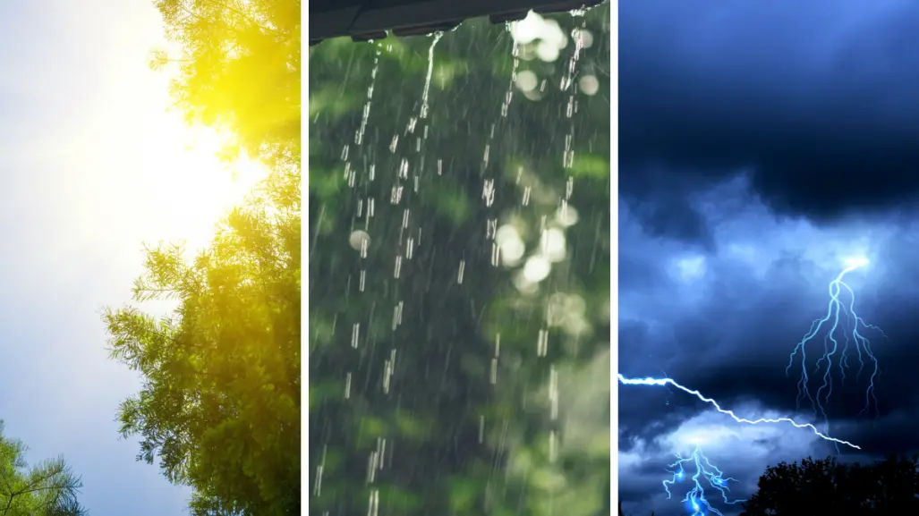 Calor, lluvias y tormentas: pronóstico del tiempo para Tamaulipas este 11 de septiembre