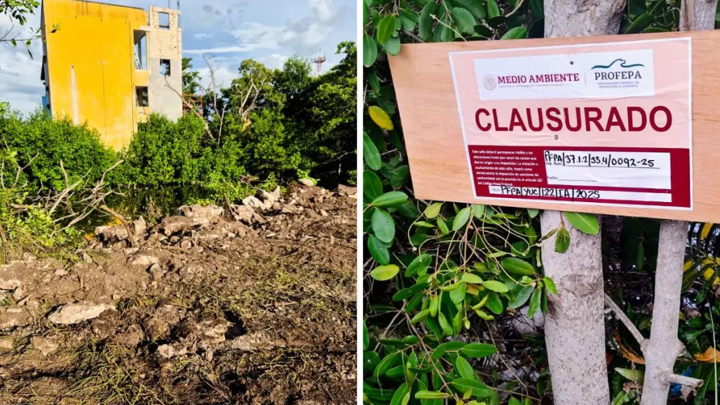 Dañan zona del Área Natural Protegida Reserva Estatal de Dzilam en Yucatán