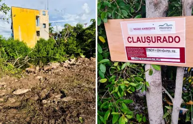 Dañan zona del Área Natural Protegida Reserva Estatal de Dzilam en Yucatán