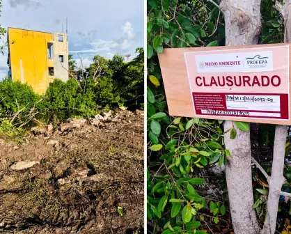 Dañan zona del Área Natural Protegida Reserva Estatal de Dzilam en Yucatán