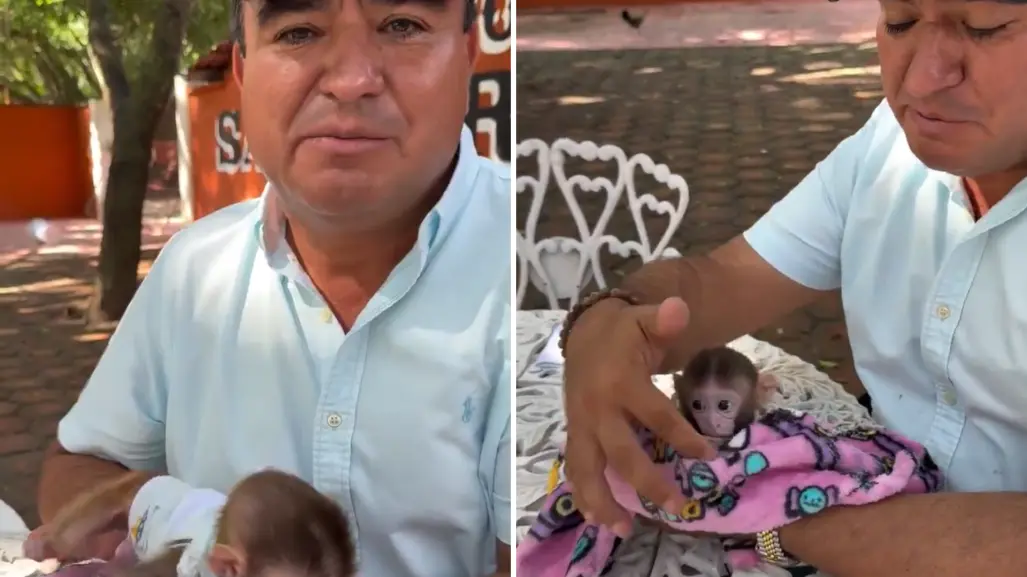 Alcalde poblano crea su zoológico privado y usa animales protegidos para atraer turismo