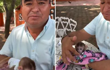 Alcalde poblano crea su zoológico privado y usa animales protegidos para atraer turismo