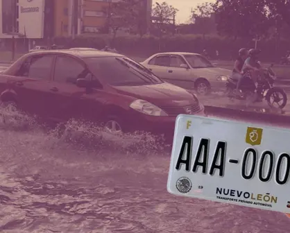 Ponte al corriente en Nuevo León: ¿Perdiste tu placa con las lluvias recientes? Así puedes reponerla