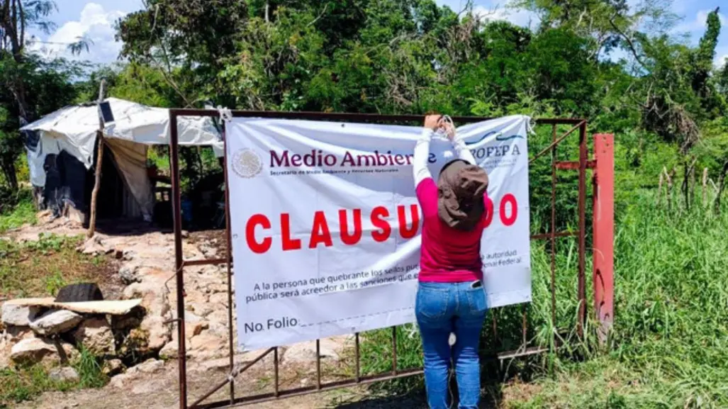 Clausuran definitivamente granja porcícola en Yucatán tras años de denuncias comunitarias