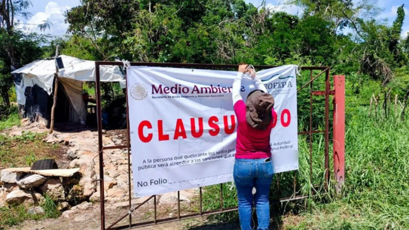 ¿Qué significa la clausura de esta granja porcícola para las comunidades mayas?. Foto: Propepa - Gob Mex
