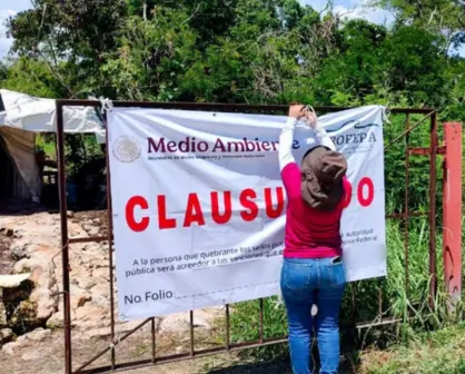 Clausuran definitivamente granja porcícola en Yucatán tras años de denuncias comunitarias