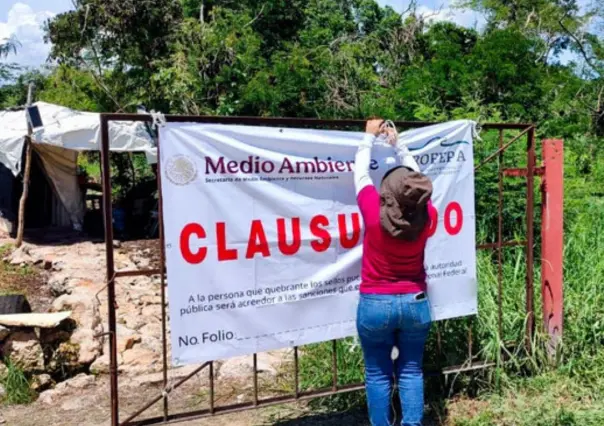 Clausuran definitivamente granja porcícola en Yucatán tras años de denuncias comunitarias