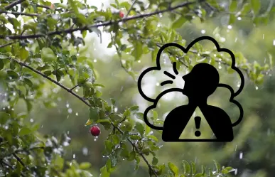 Así se encuentra la calidad del aire en Monterrey este 10 de septiembre