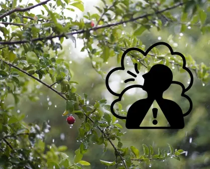 Así se encuentra la calidad del aire en Monterrey este 10 de septiembre