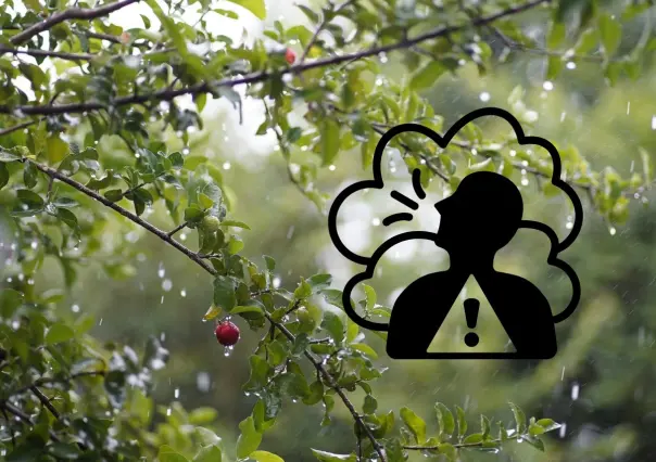 Así se encuentra la calidad del aire en Monterrey este 10 de septiembre