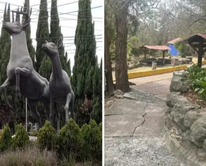 Parque de los Ciervos, el mini zoológico de Atizapán donde puedes convivir con venados