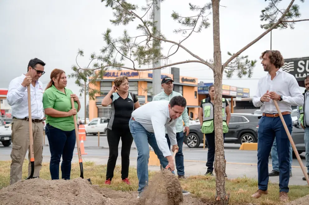 El alcalde Javier Díaz durante la plantación del árbol. (Fotografía: Javier Díaz)