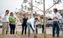 Suman mil árboles plantados en Saltillo en administración de Javier Díaz