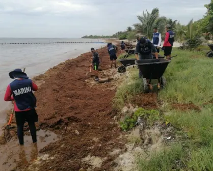 Sigue el operativo contra los efectos negativos del sargazo en playas de Quintana Roo