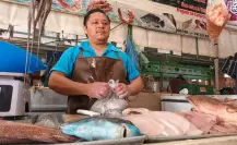 Ventas de mariscos repuntan un 10 % en Mérida tras levantamiento de la marea roja